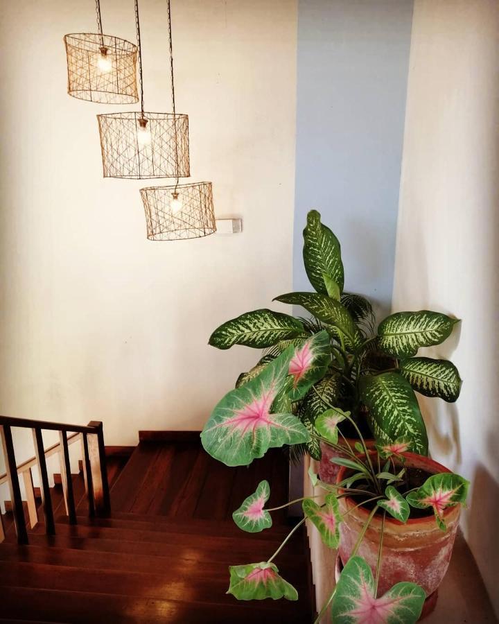 Hotel Con Corazon Granada Ngoại thất bức ảnh